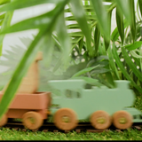 Wooden Colored Train - Train With Animals